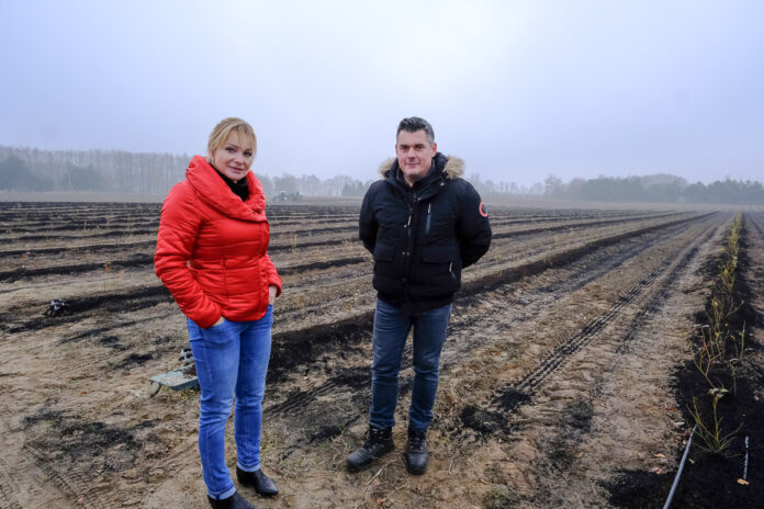 Rozmowa na plantacji borówki w Karczewku — zdjęcie z reportażu Jagodnik.pl